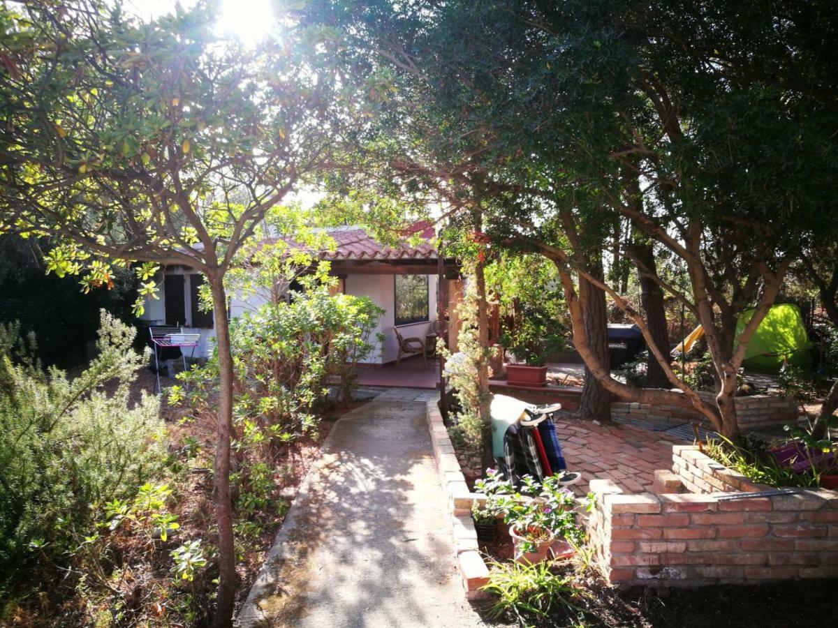 Tiny House Holiday home